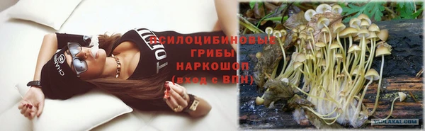 apvp Корсаков