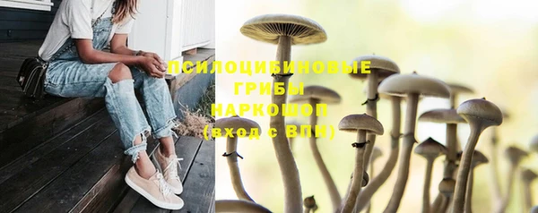 apvp Корсаков