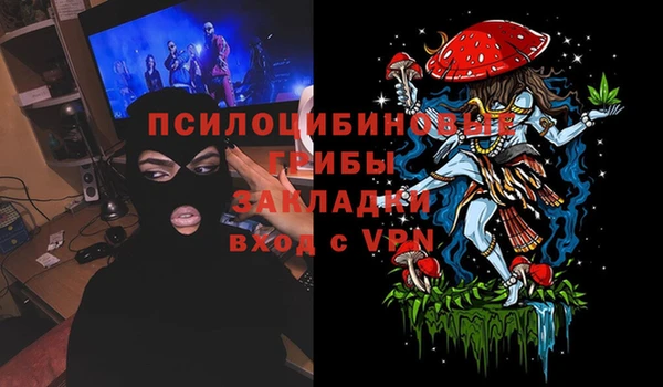 а пвп мука Коряжма