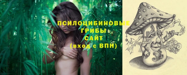 PSILOCYBIN Краснослободск